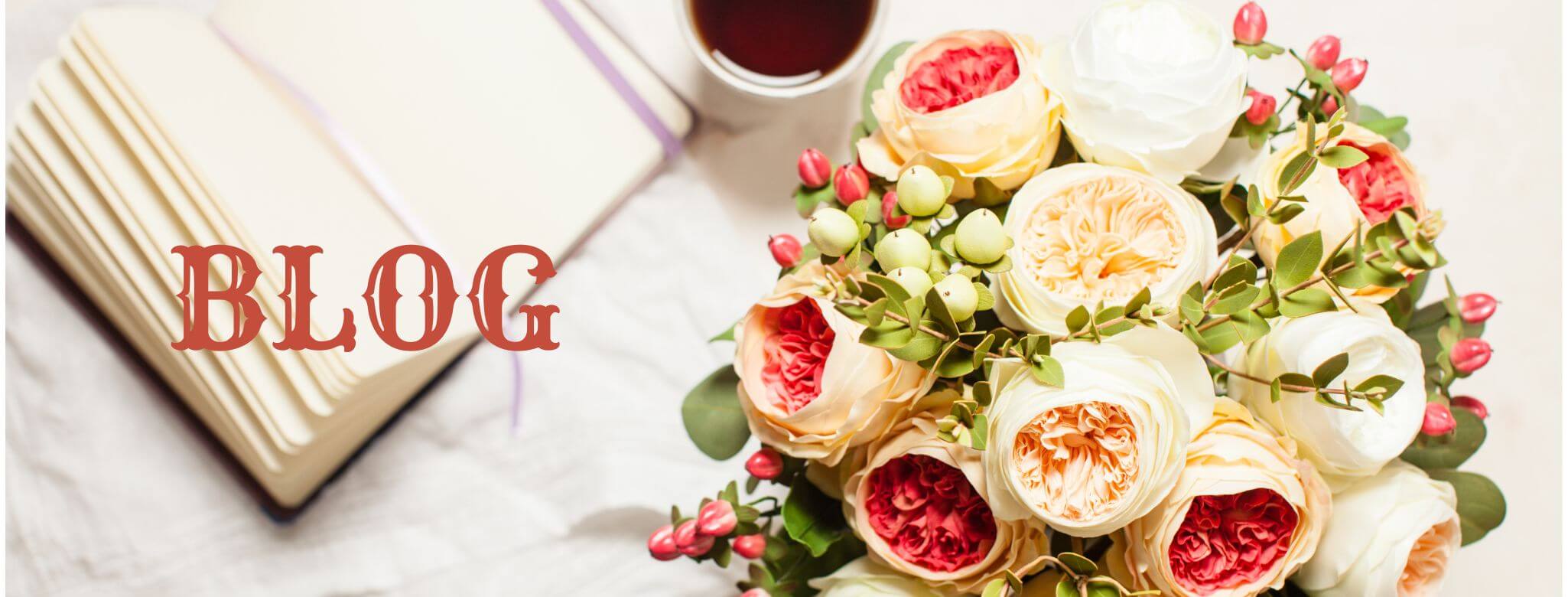 Blog Vesne Juvan
