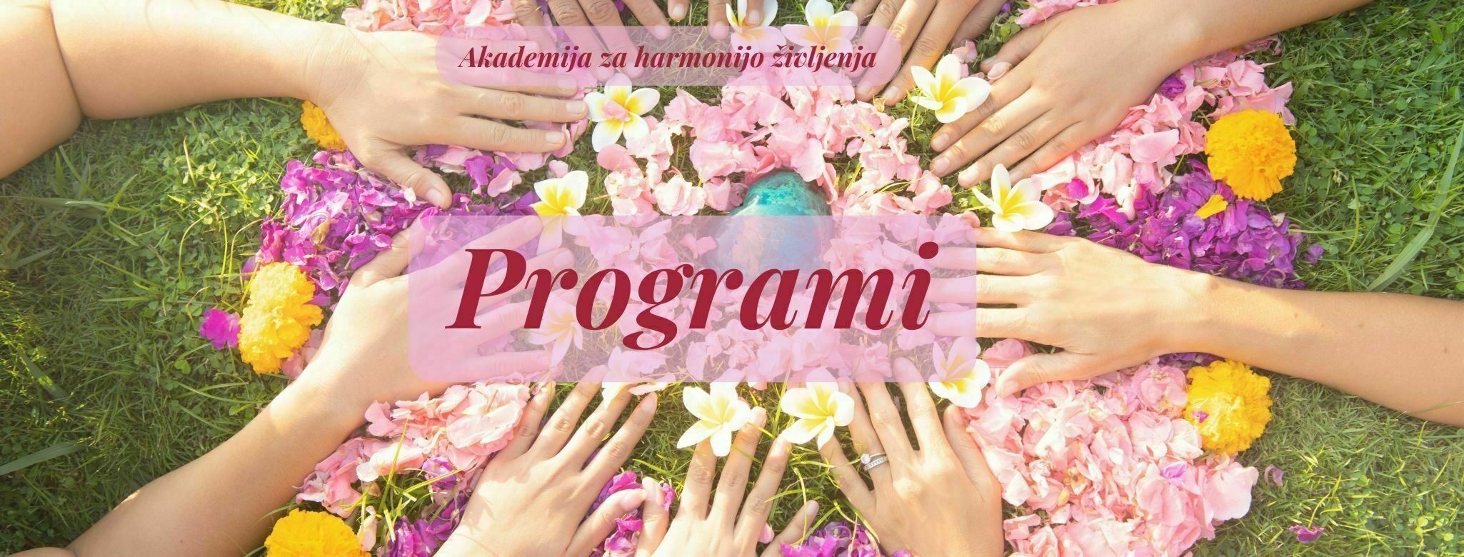 Programi Vesne Juvan